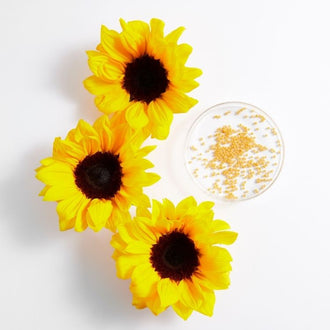 Sunflower (Lecithin)