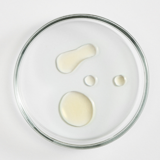 Vegetal oils Vegetal oils