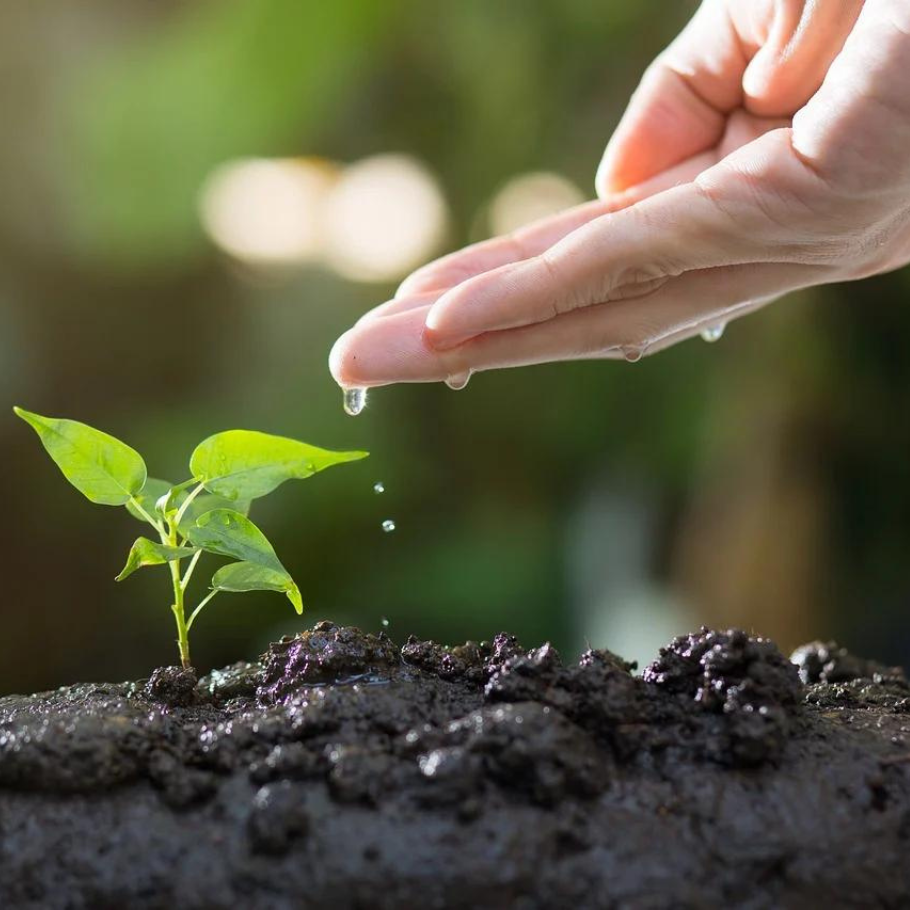 Topicrem-et-son-environnement