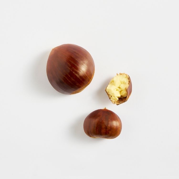 Chestnut